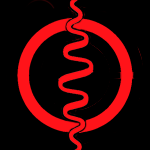 City Chiropractic's Logo