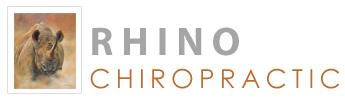 Rhino Chiropractic - Dr Steve Hansen's Logo
