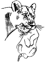 Caring Family SC's Logo