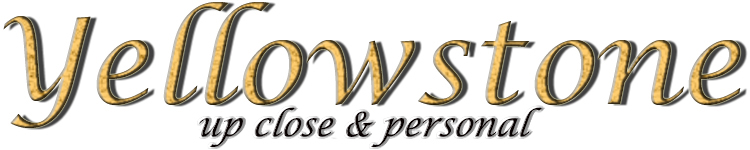 Mammoth Clinic's Logo