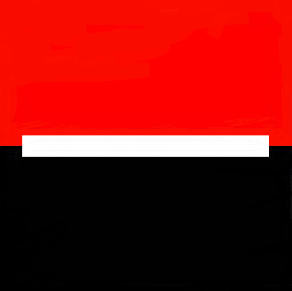 South Georgia Health Group's Logo